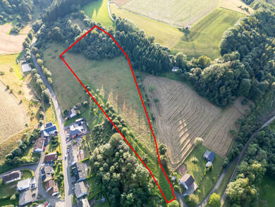 Grundstück zum Kauf 115.000 € 25.624 m² Grundstück Mettendorf 54675