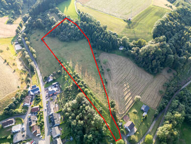 Grundstück zum Kauf 115.000 € 25.624 m² Grundstück Mettendorf 54675