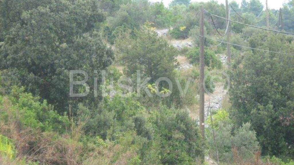 Land-/Forstwirtschaft zum Kauf 200.000 € Vela Luka