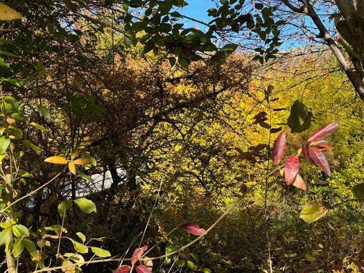 Grundstück zum Kauf 520.000 € 807 m² Grundstück frei ab 01.01.2026 Lippertshofen Gaimersheim 85080