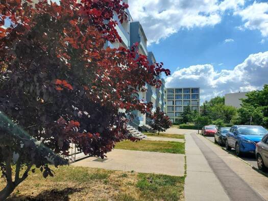 Wohnung zur Miete 335 € 3 Zimmer 56 m² 3. Geschoss frei ab sofort Joachimstalerstraße 13 Silberhöhe Süd 06132