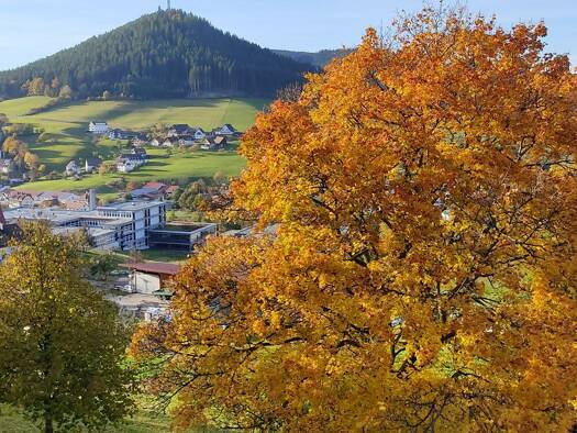 Wohnung zur Miete 400 € 1 Zimmer 29 m² Geschoss -4/5 frei ab sofort Baiersbronn 72270