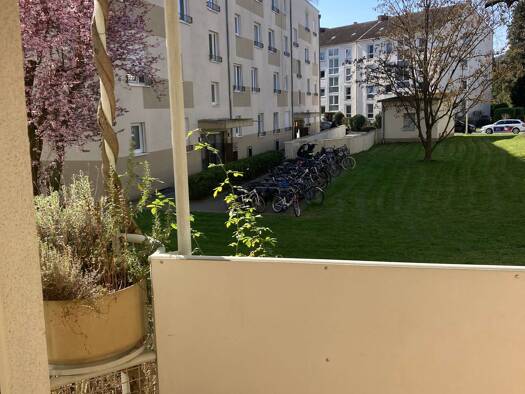 Wohnung zur Miete 971 € 3 Zimmer 77 m² EG frei ab 16.04.2026 Eltviller Straße 13 Friesdorf Bonn 53175