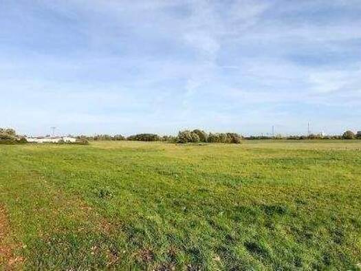 Grundstück zum Kauf provisionsfrei 20.000 m² Grundstück Groß Lüdershagen Wendorf 18442