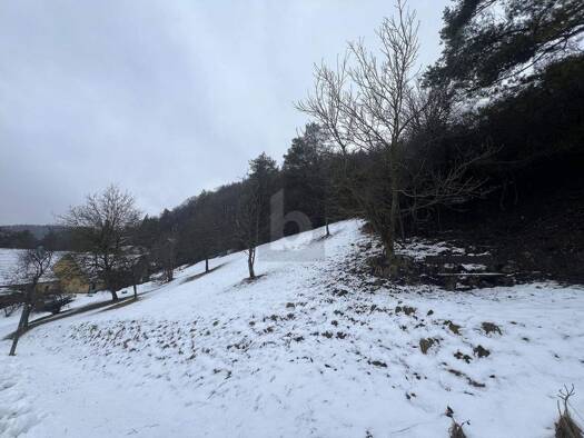 Grundstück zum Kauf 110.000 € 2.593 m² Grundstück Etzelwang 92268