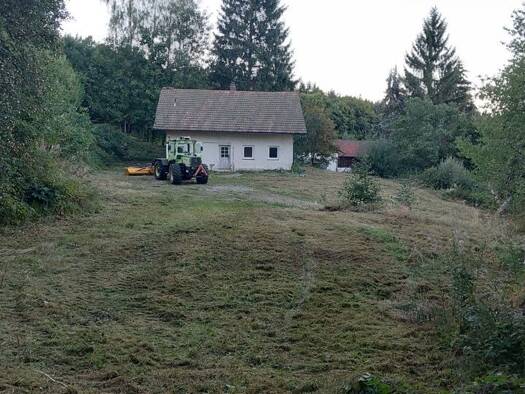 Einfamilienhaus zum Kauf provisionsfrei 210.000 € 6 Zimmer 140 m² 2.410 m² Grundstück frei ab sofort Kager Neukirchen beim Heiligen Blut 93453
