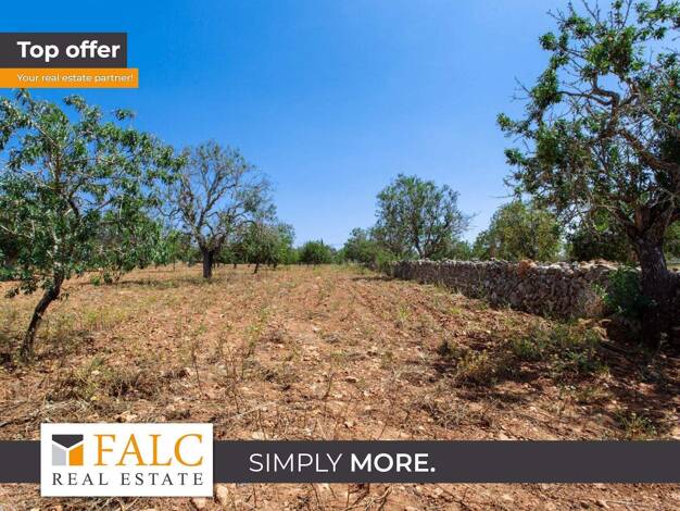 Freizeitgrundstück zum Kauf provisionsfrei 700.000 € 26.961 m² Grundstück Felanitx 07200