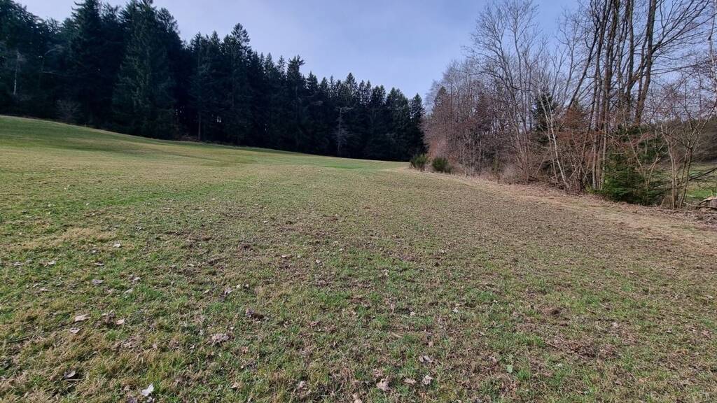 Land-/Forstwirtschaft zum Kauf 25.179 € 8.399 m² Grundstück Gossenreith Hirschbach im Mühlkreis 4242