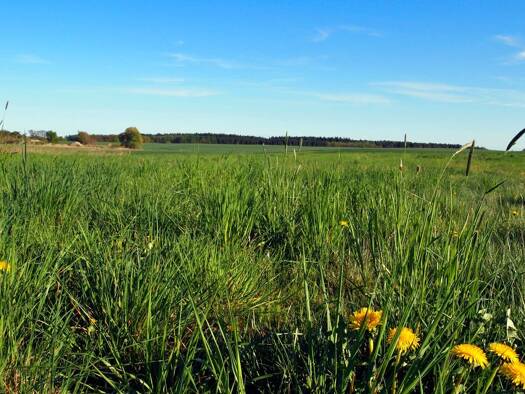 Grundstück zum Kauf provisionsfrei 56.000 € 5.460 m² Grundstück Grambow Diestelow / Grambow 19399