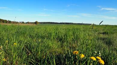 Grundstück zum Kauf provisionsfrei 56.000 € 5.460 m² Grundstück Grambow Diestelow / Grambow 19399
