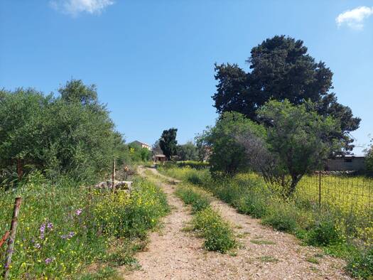Grundstück zum Kauf 120.000 € 1.800 m² Grundstück Municipality of Chania 73008