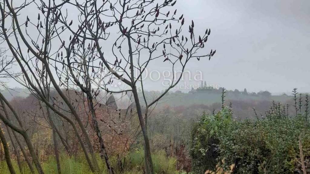 Land-/Forstwirtschaft zum Kauf 50.000 € Strigova