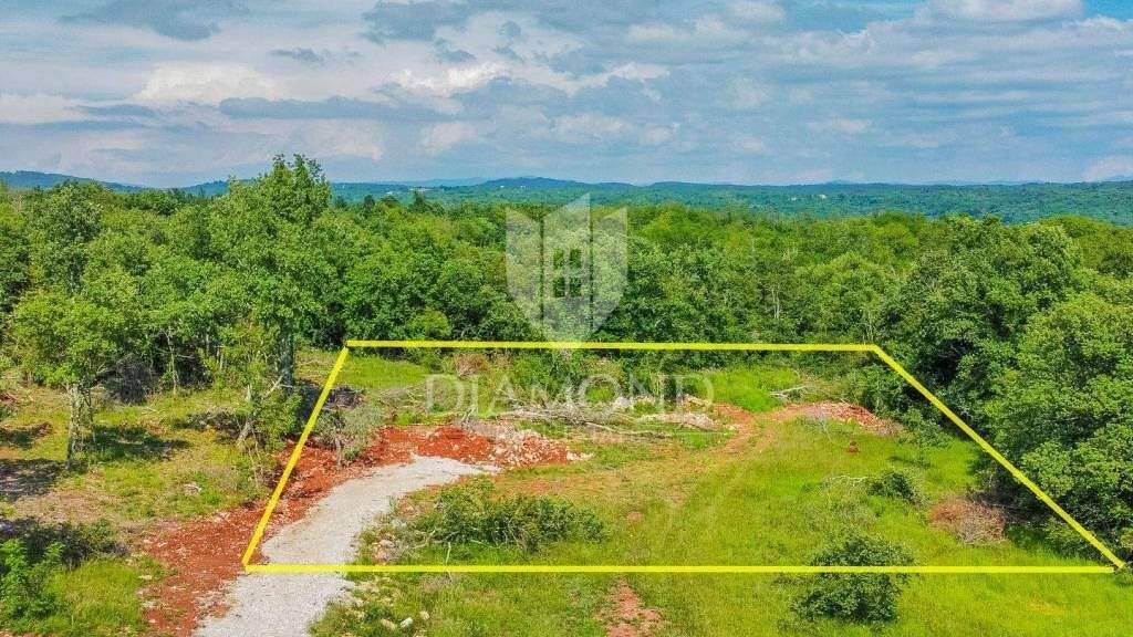 Land-/Forstwirtschaft zum Kauf 93.000 € Groznjan Groznjan