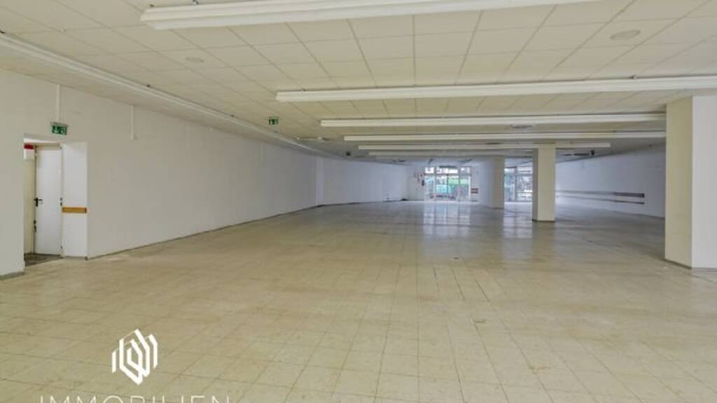 Laden zur Miete 5,95 € 1.553 m² Verkaufsfläche teilbar von 911 m² bis 642 m² Wibilostraße 13 Wiebelskirchen Neunkirchen 66540