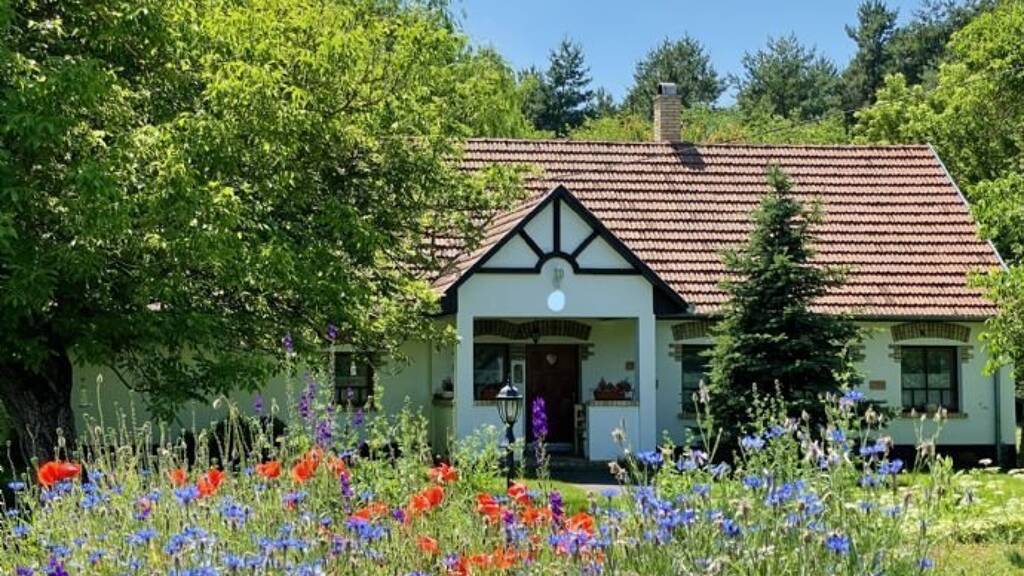 Bauernhof zum Kauf 250.000 € 105 m² 19.848 m² Grundstück Bugac 6114