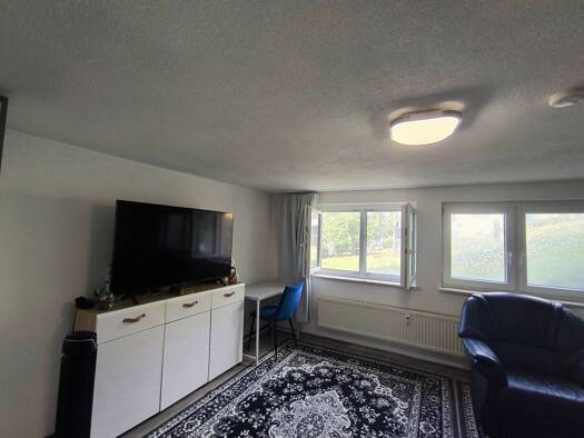 Wohnung zur Miete 450 € 1 Zimmer 44 m² frei ab 01.08.2026 Lomersheim Mühlacker 75417