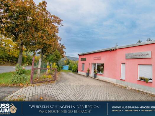 Bürofläche zur Miete 785 € 9 Zimmer 100 m² Bürofläche Beulwitzer Straße 6 Saalfeld Saalfeld 07318