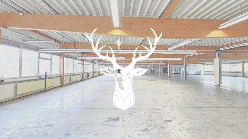 Produktionshalle zur Miete 10.000 € 3.433 m² Lagerfläche Wehingen 78564