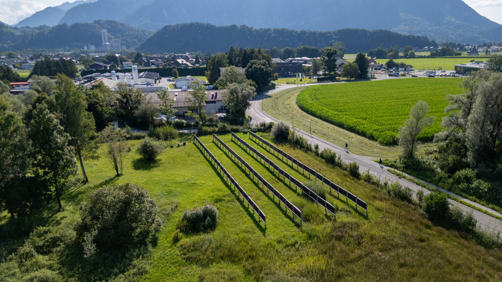 Grundstück zum Kauf 1.329.000 € 6.041 m² Grundstück Anif 5081