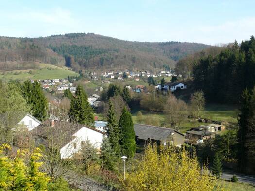 Einfamilienhaus zum Kauf provisionsfrei 698.000 € 5 Zimmer 165 m² 1.514 m² Grundstück Altneudorf Schönau 69250