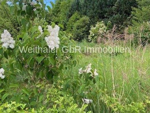 Einfamilienhaus zum Kauf 7 Zimmer 270 m² 1.420 m² Grundstück Schierling 84069