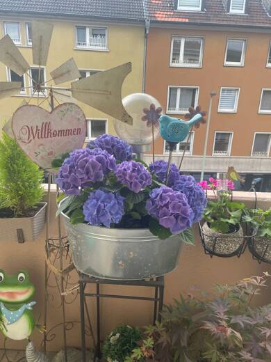 Wohnung zum Kauf 180.000 € 3 Zimmer 88 m² 2. Geschoss Königstraße 8 Eickel - Kern Herne 44651