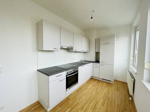 Wohnung zur Miete 458 € 2 Zimmer 61,8 m² Birkfelder Straße Weiz 8160