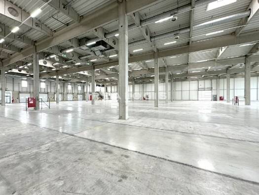 Halle/Industriefläche zur Miete 6.000 m² Lagerfläche teilbar ab 5.000 m² Wiesloch Wiesloch 69168