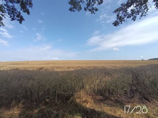Land-/Forstwirtschaft zum Kauf 1,10 € 296.791 m² Grundstück Lenzen Lenzen (Elbe) 19309
