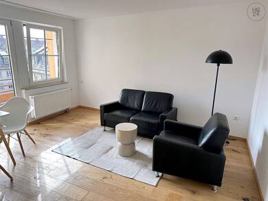 Wohnung zur Miete Wohnen auf Zeit 1.280 € 2 Zimmer 53 m² frei ab sofort Altstadt / St. Sebald Nürnberg 90403