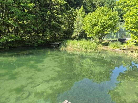 Mehrfamilienhaus zum Kauf 398.000 € 8 Zimmer 270 m² Ybbsitz 3341