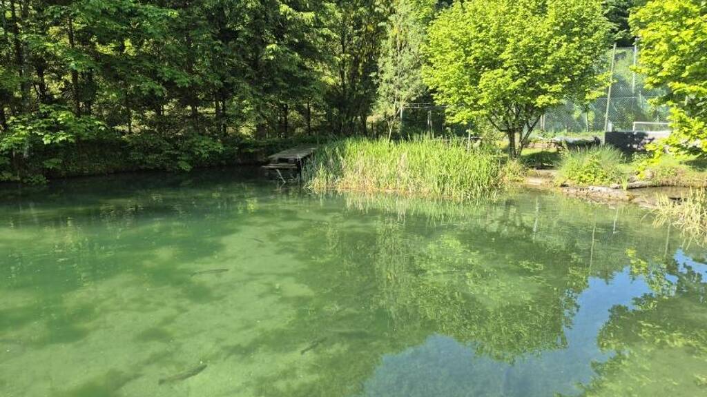 Mehrfamilienhaus zum Kauf 398.000 € 8 Zimmer 270 m² Ybbsitz 3341