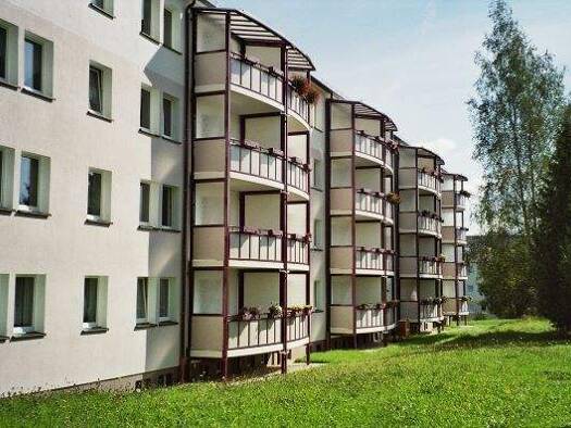 Wohnung zur Miete 270 € 2 Zimmer 48,8 m² 4. Geschoss frei ab sofort Schillerstraße 10 Adorf Adorf 08626