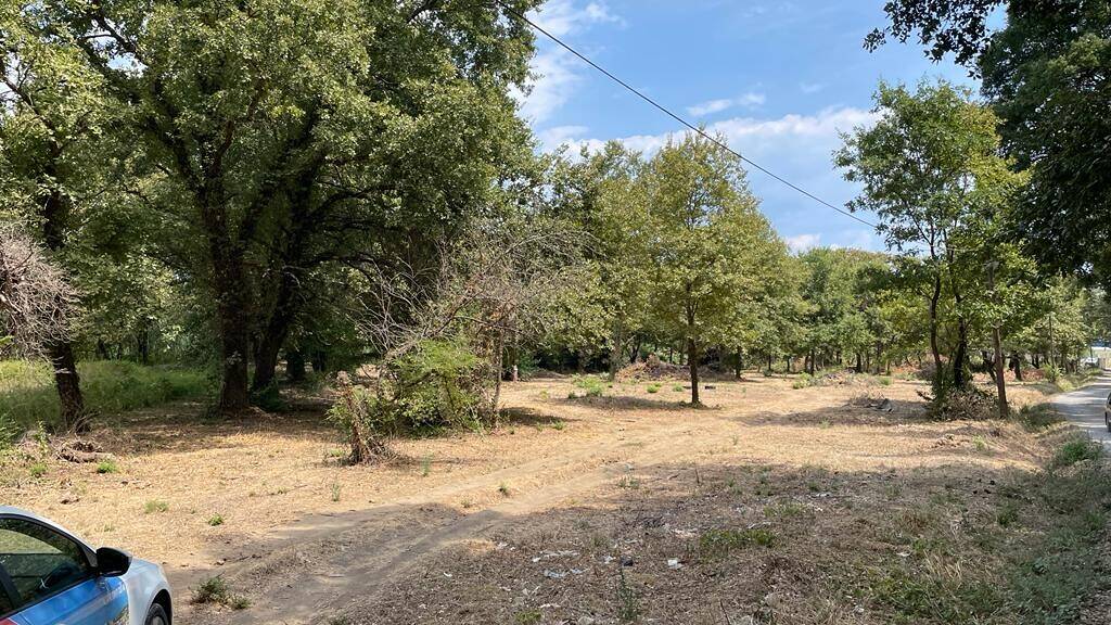 Land-/Forstwirtschaft zum Kauf 160.000 € 4.850 m² Grundstück Korfu