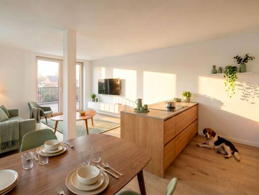 Wohnung zum Kauf - Neubau 375.999 € 3 Zimmer 79,4 m² EG Biberach Biberach 77781