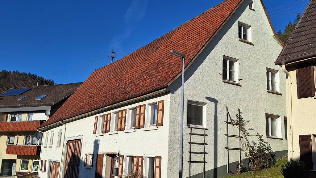 Bauernhaus zum Kauf 99.000 € 9 Zimmer 195 m² 1.353 m² Grundstück Reichenbach 78564