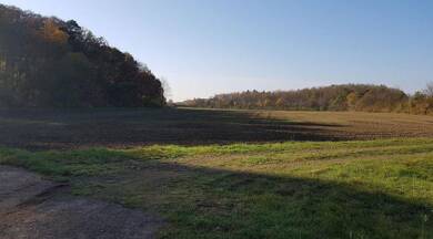 Land-/Forstwirtschaft zum Kauf 2.700 € 2.012 m² Grundstück Burgkunstadt Burgkunstadt 96224
