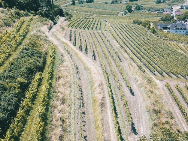 Land-/Forstwirtschaft zum Kauf provisionsfrei 107.880 € Mitterarnsdorf 3621