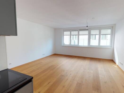 Wohnung zum Kauf 289.000 € 3 Zimmer 78,7 m² 2. Geschoss Drouotstraße Lustenau Linz 4020