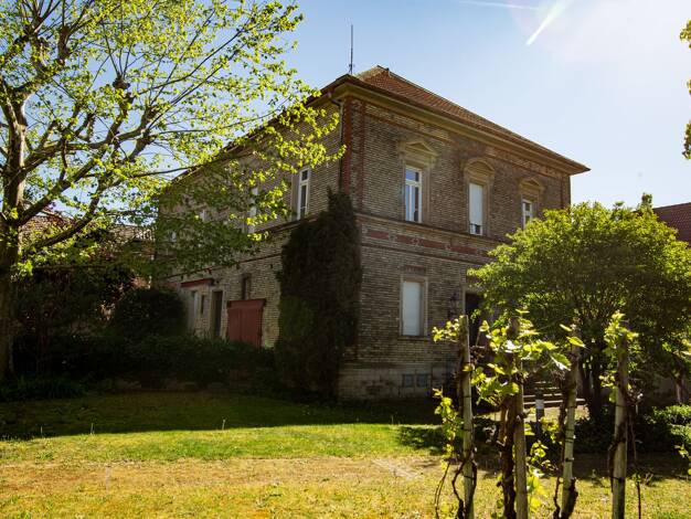 Villa zum Kauf 990.000 € 13 Zimmer 386 m² 1.476 m² Grundstück Wallertheim 55578