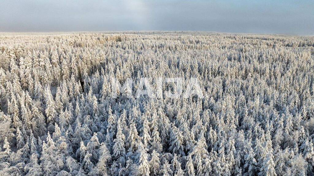 Grundstück zum Kauf 1.460.000 € 437.600 m² Grundstück Rovaniemi 96900