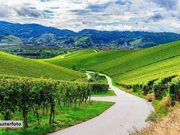 Land-/Forstwirtschaft zum Kauf 16.200 € 7.071 m² Grundstück Schammendorf Weismain 96260