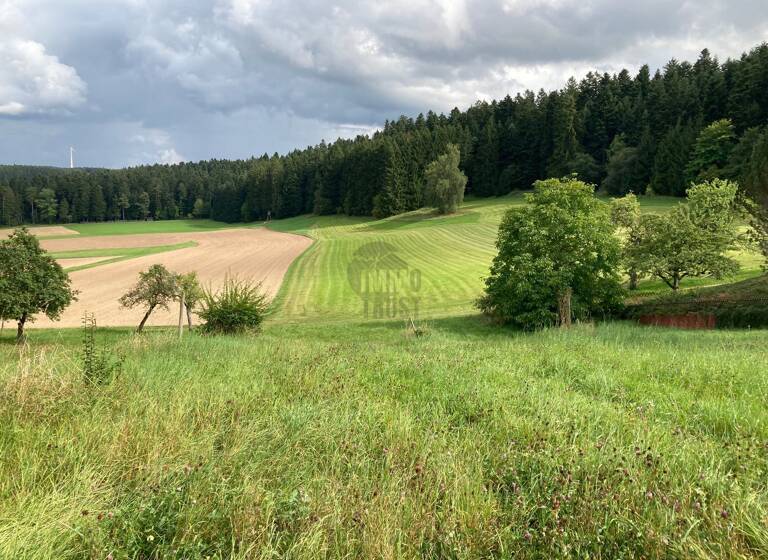 Grundstück zum Kauf 139.900 € 1.415 m²<br/>Grundstück Sterneck Loßburg 72290