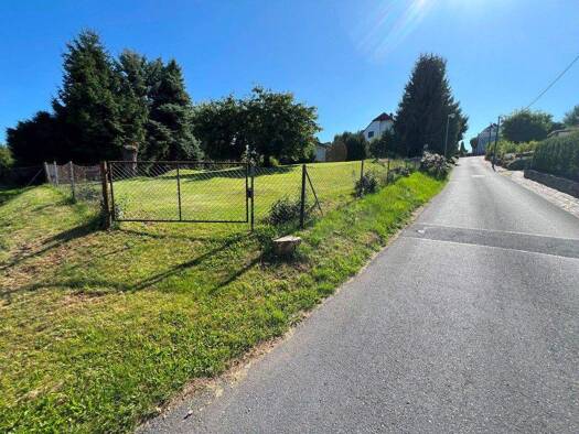 Grundstück zum Kauf 100.000 € 700 m² Grundstück Börnchen Bannewitz / Börnchen 01728