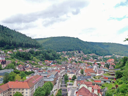 Grundstück zum Kauf 205.000 € 1.900 m² Grundstück Bätznerstraße Bad Wildbad Bad Wildbad 75323