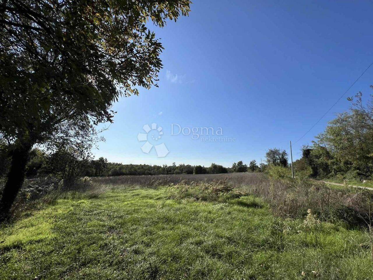 Land-/Forstwirtschaft 76500 € zum Kauf (52444)