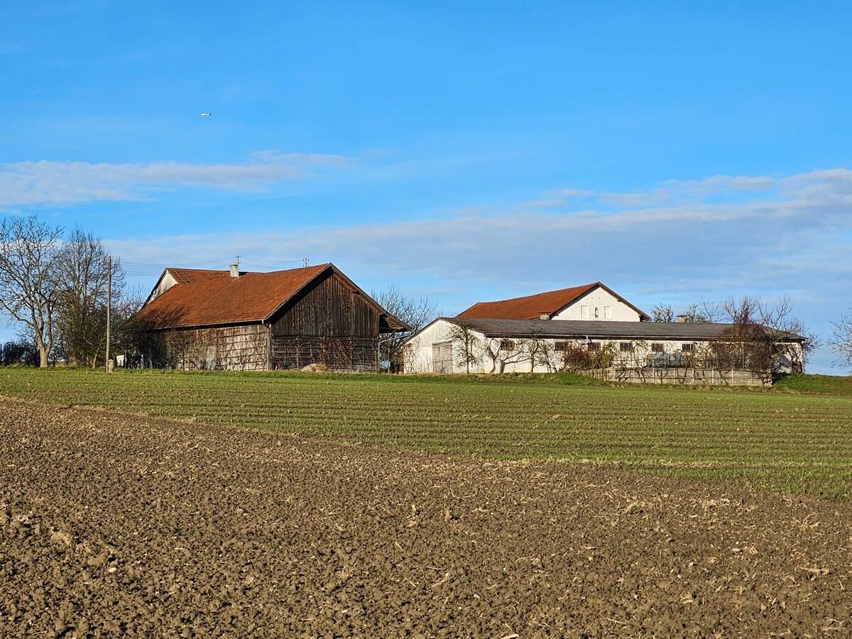 Bauernhaus zum Kauf 1.450.000 € 7 Zimmer 244 m²<br/>Wohnfläche 14.523 m²<br/>Grundstück Geiersberg Buchbach 84428