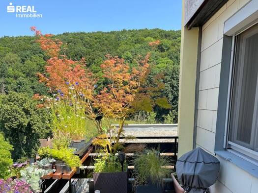 Wohnung zum Kauf 299.000 € 4 Zimmer 107 m² Hauptstraße 137 Kaltenleutgeben 2391