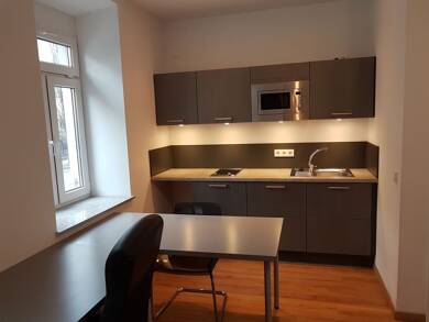 Wohnung zur Miete 576 € 1 Zimmer 24 m² frei ab 01.09.2025 Östliche Stadtmauerstraße 12 Markgrafenstadt Erlangen 91054