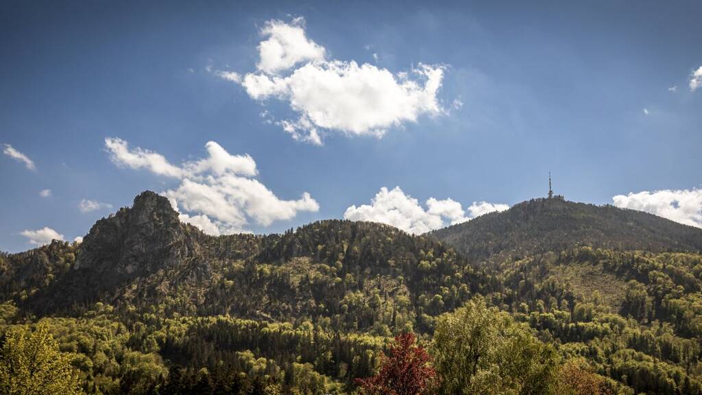 Doppelhaushälfte zum Kauf 825.000 € 6 Zimmer 210 m² 290 m² Grundstück Heuberg II Heuberg 5023